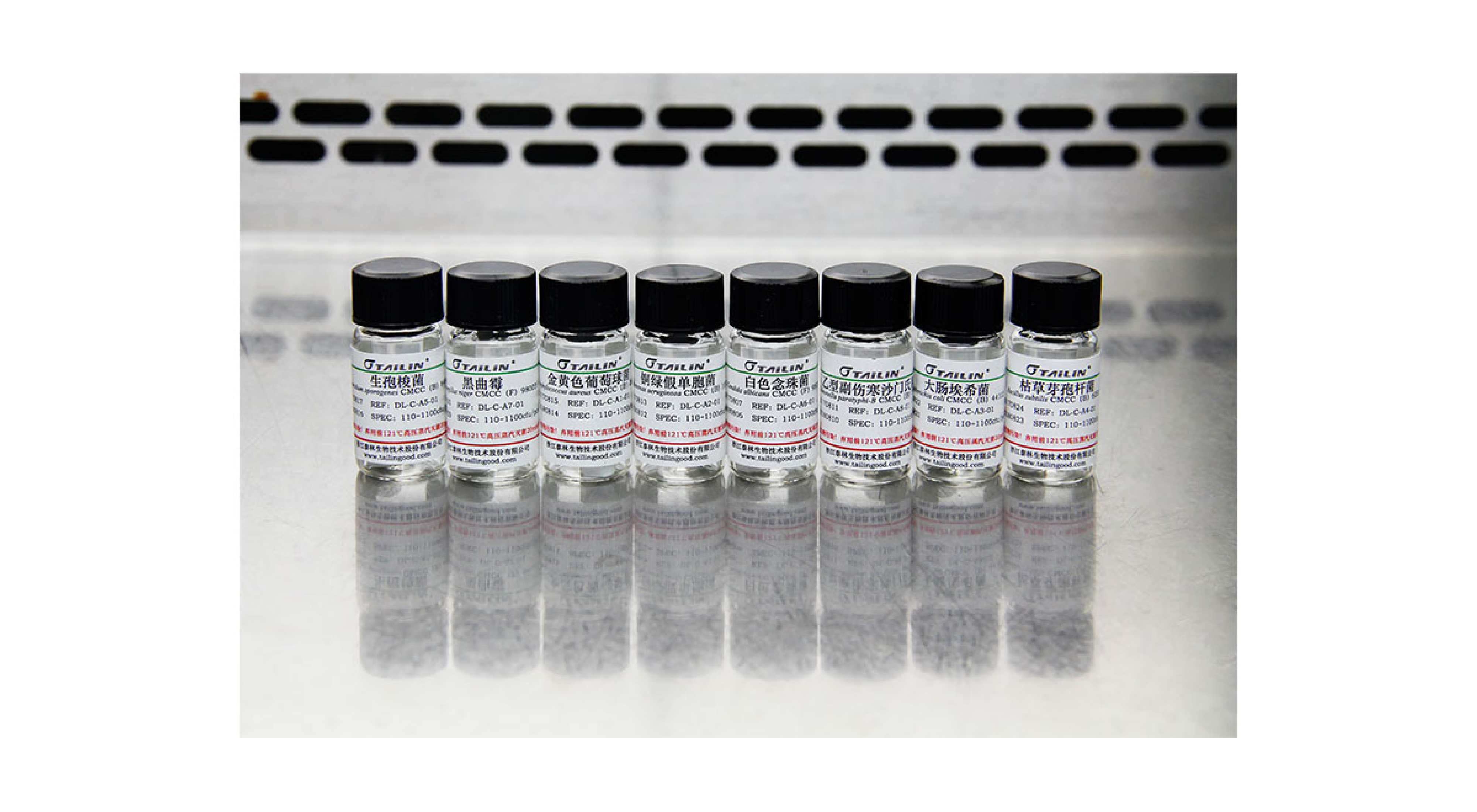 �ŵ�88��(�й���)���޹�˾����