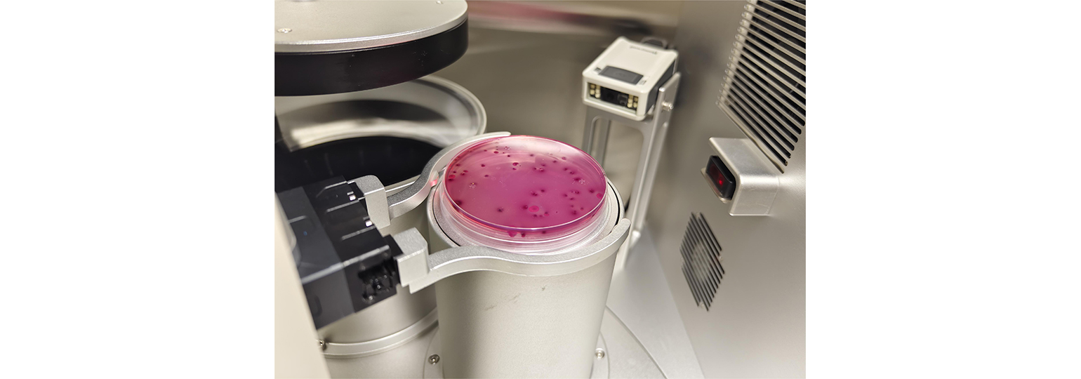 ȫ�Զ������������վSCW-100