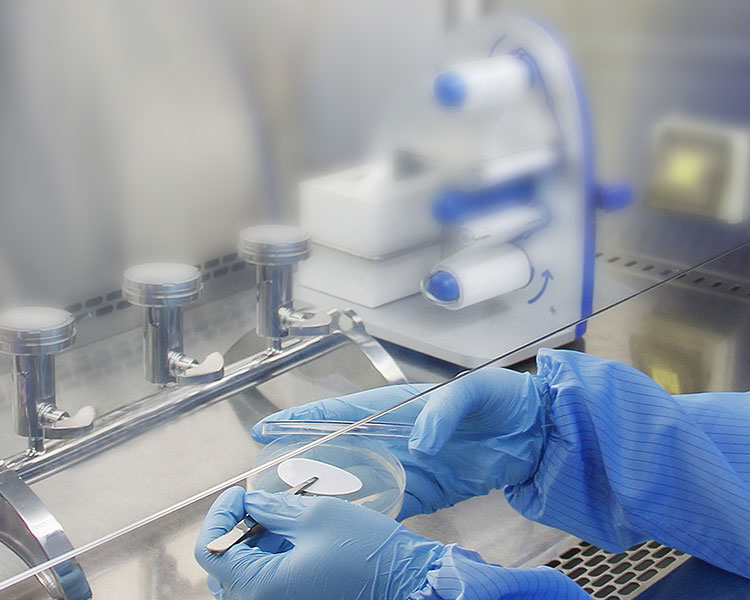 �ŵ�88��(�й���)���޹�˾����