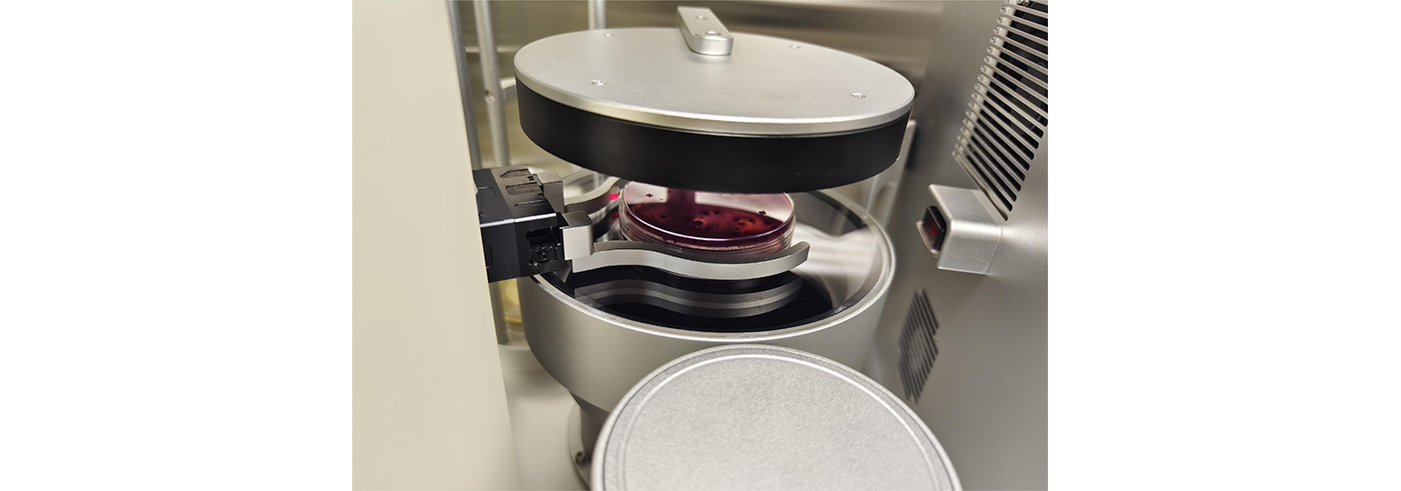 �ŵ�88��(�й���)���޹�˾����