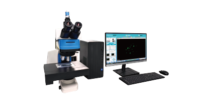 �ŵ�88��(�й���)���޹�˾����